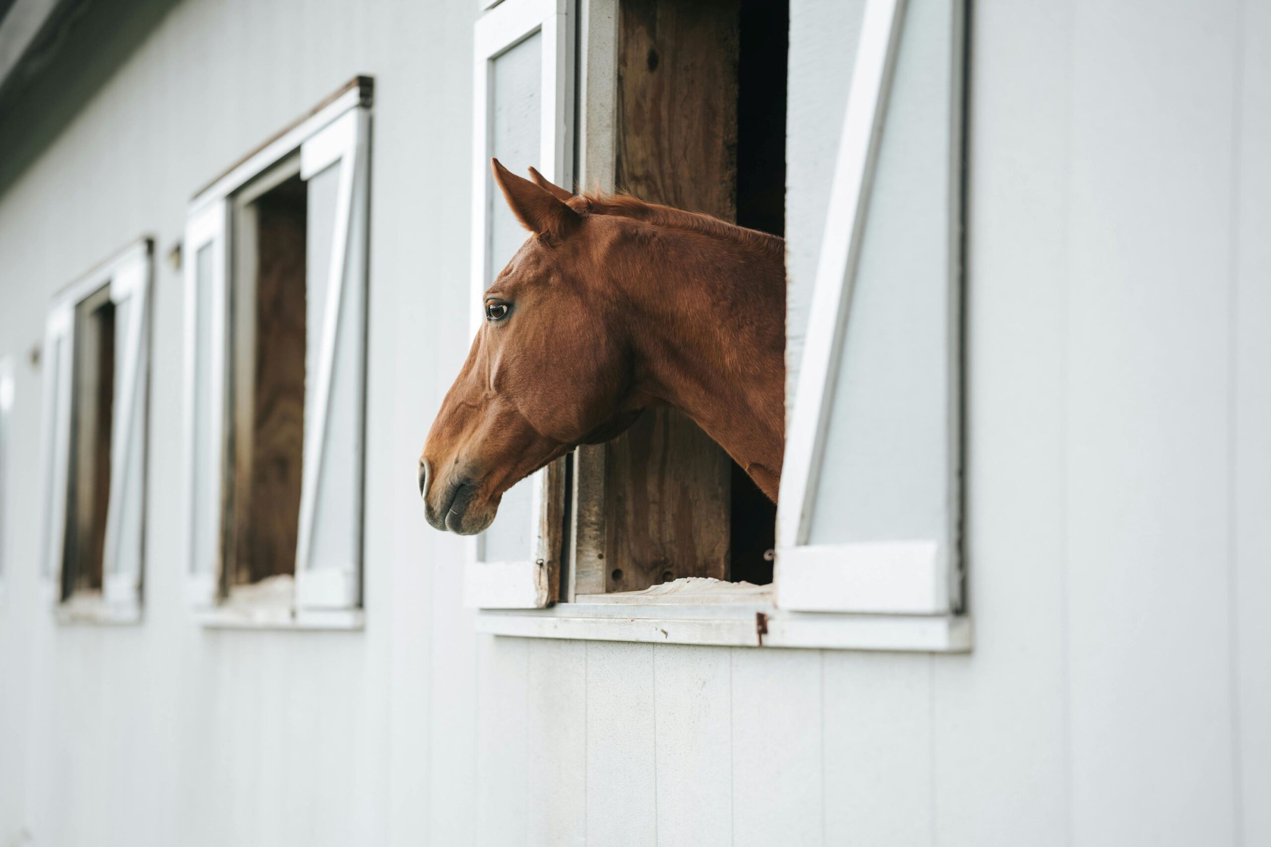 Horse Hotel in Reedsburg, WI | CR Ranch
