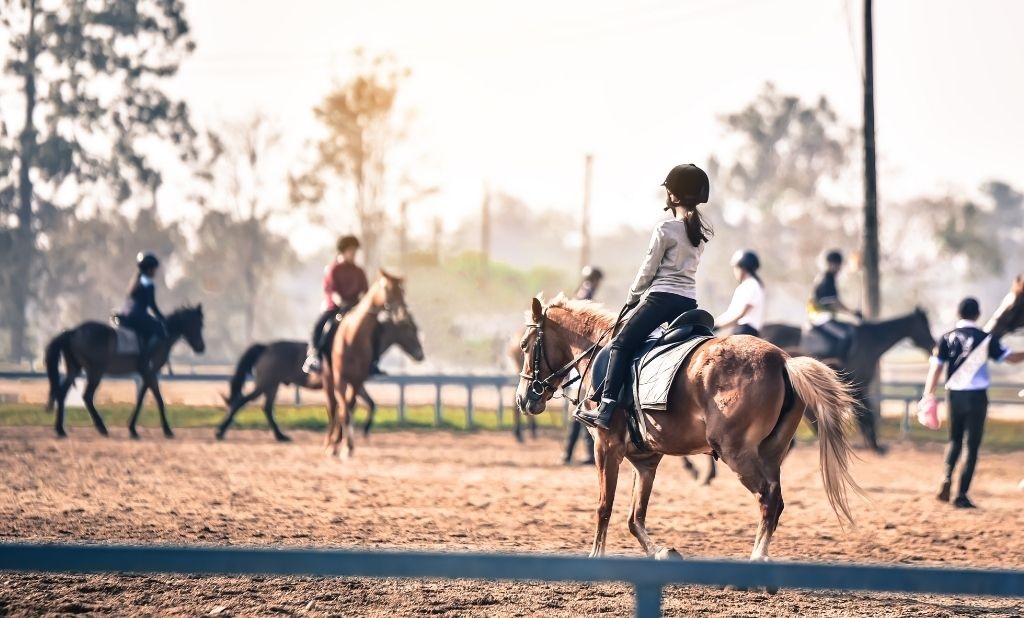 Multiple riders on various horses participating in a group riding clinic in a large outdoor arena under hazy sun.
