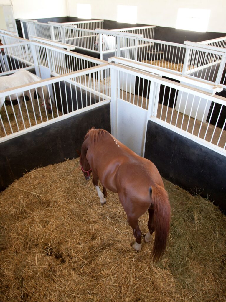 A high-angle view looking down into a row of portable horse stalls inside a bright building. In the foreground stall, a chestnut horse with white markings on its legs stands on a thick bed of golden straw. The stalls are constructed with black solid lower panels and white metal vertical bars on top. Other horses, including a white one, are visible in the neighboring stalls further down the row.