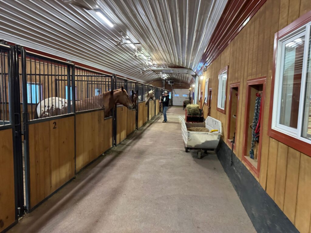 A row of indoor horse stalls