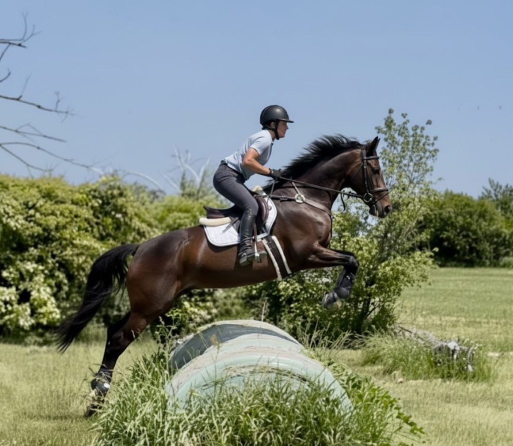 A rider in a black helmet and grey shift on a horse jumping over a large green hay bale in an open grassy field. The horse is in mid-air with its front legs tucked, and the background features lush green trees under a clear blue sky.